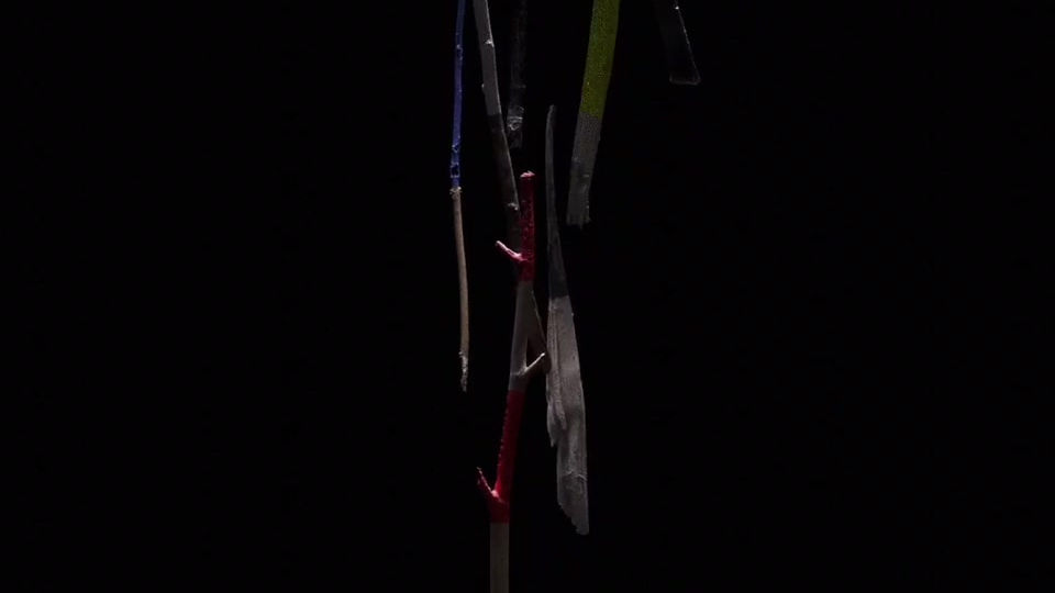 DRIFTWOOD